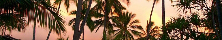 Lost for a reason, a blog for LOST fans header image 1