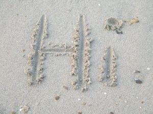 hi-in-the-sand hi-in-the-sand